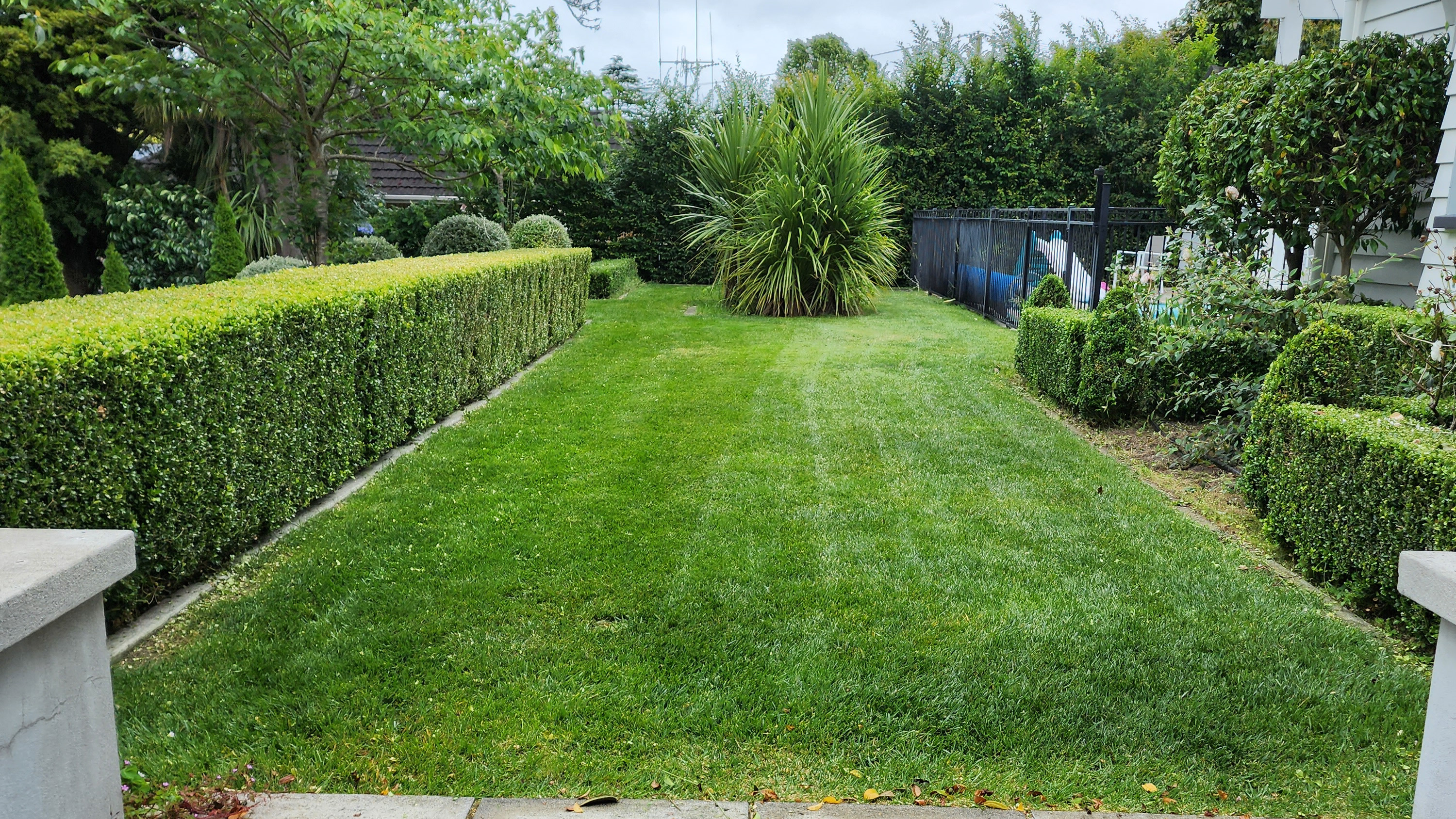 Hedge Trimming
